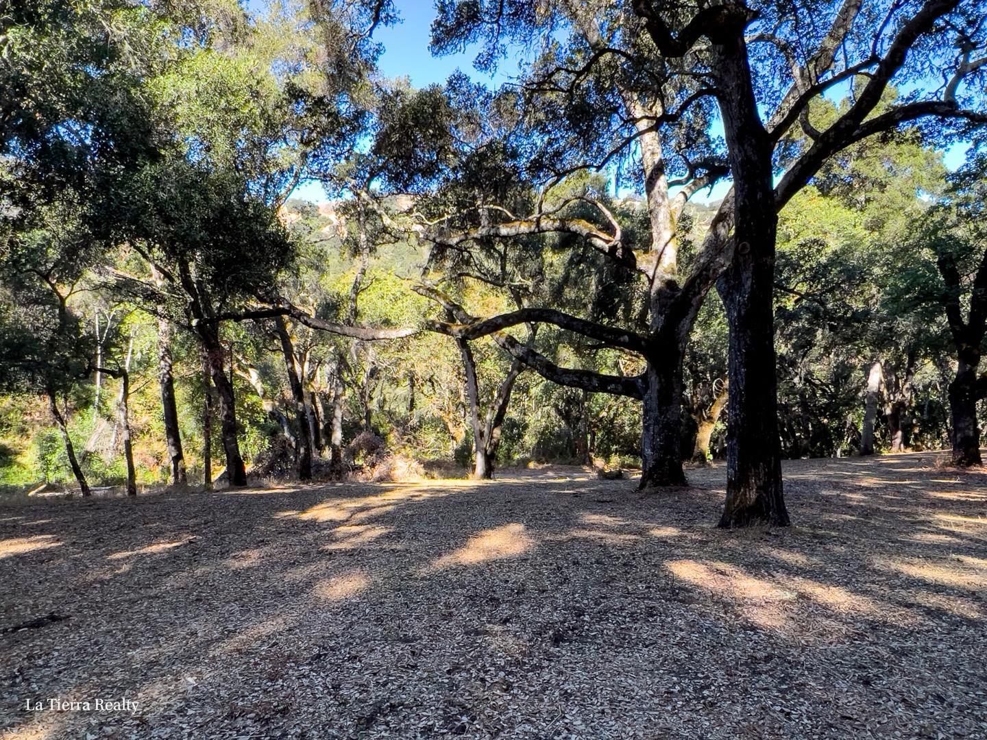 10 Garzas Trail, CARMEL, California 93923, ,Lots And Land,For Sale,Garzas Trail,40968960