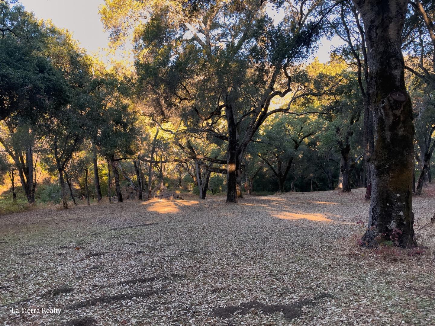 10 Garzas Trail, CARMEL, California 93923, ,Lots And Land,For Sale,Garzas Trail,40968960