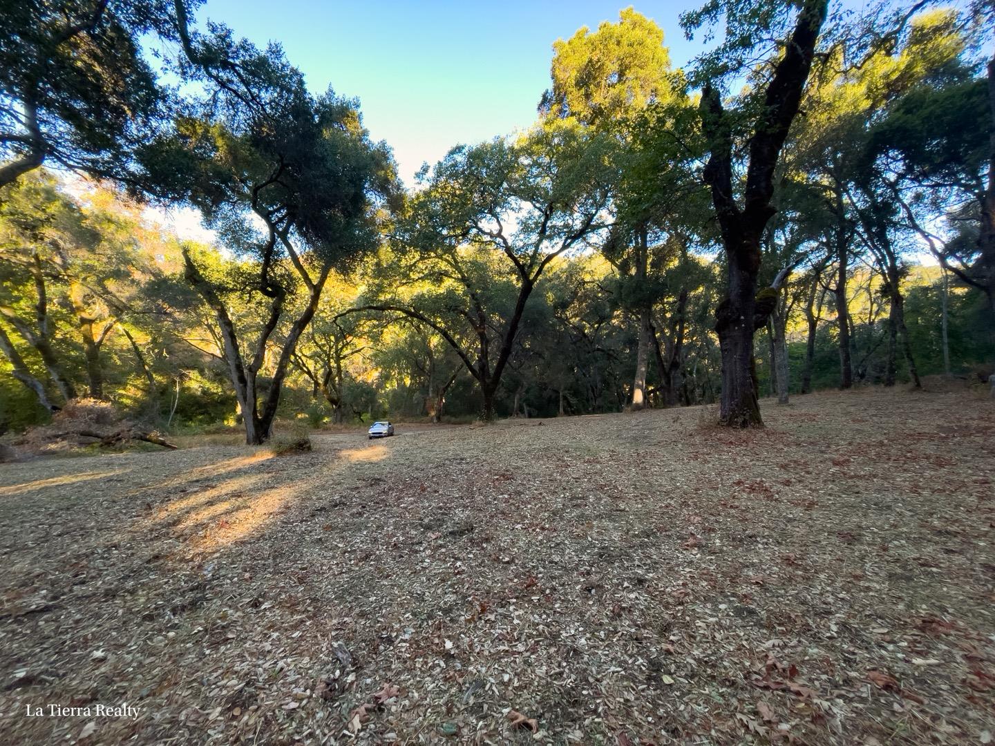 10 Garzas Trail, CARMEL, California 93923, ,Lots And Land,For Sale,Garzas Trail,40968960