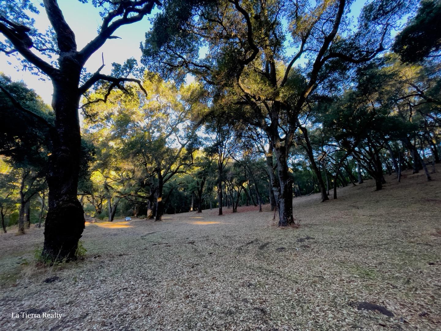 10 Garzas Trail, CARMEL, California 93923, ,Lots And Land,For Sale,Garzas Trail,40968960