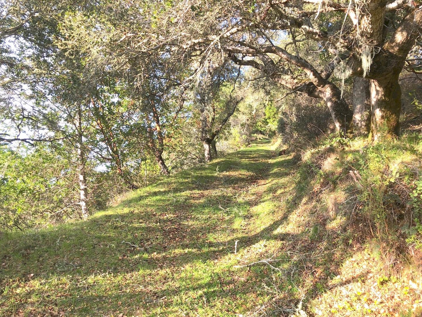 0 Nelson Road, SCOTTS VALLEY, California 95066, ,Lots And Land,For Sale,Nelson Road,40964636