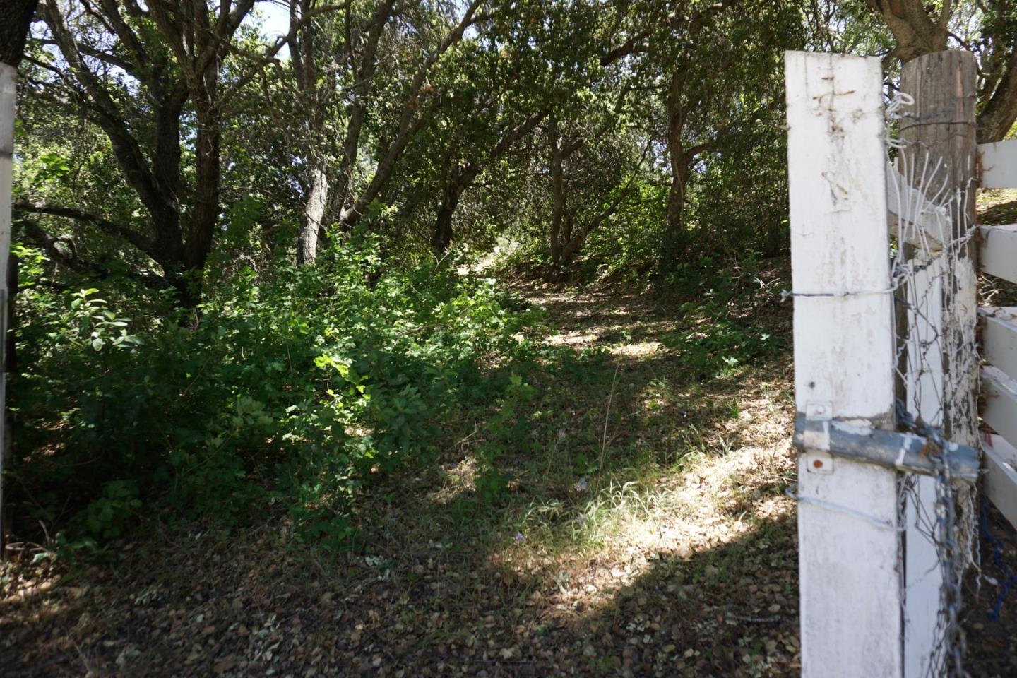 0 Cienega Road, HOLLISTER, California 95023, ,Lots And Land,For Sale,Cienega Road,40964638
