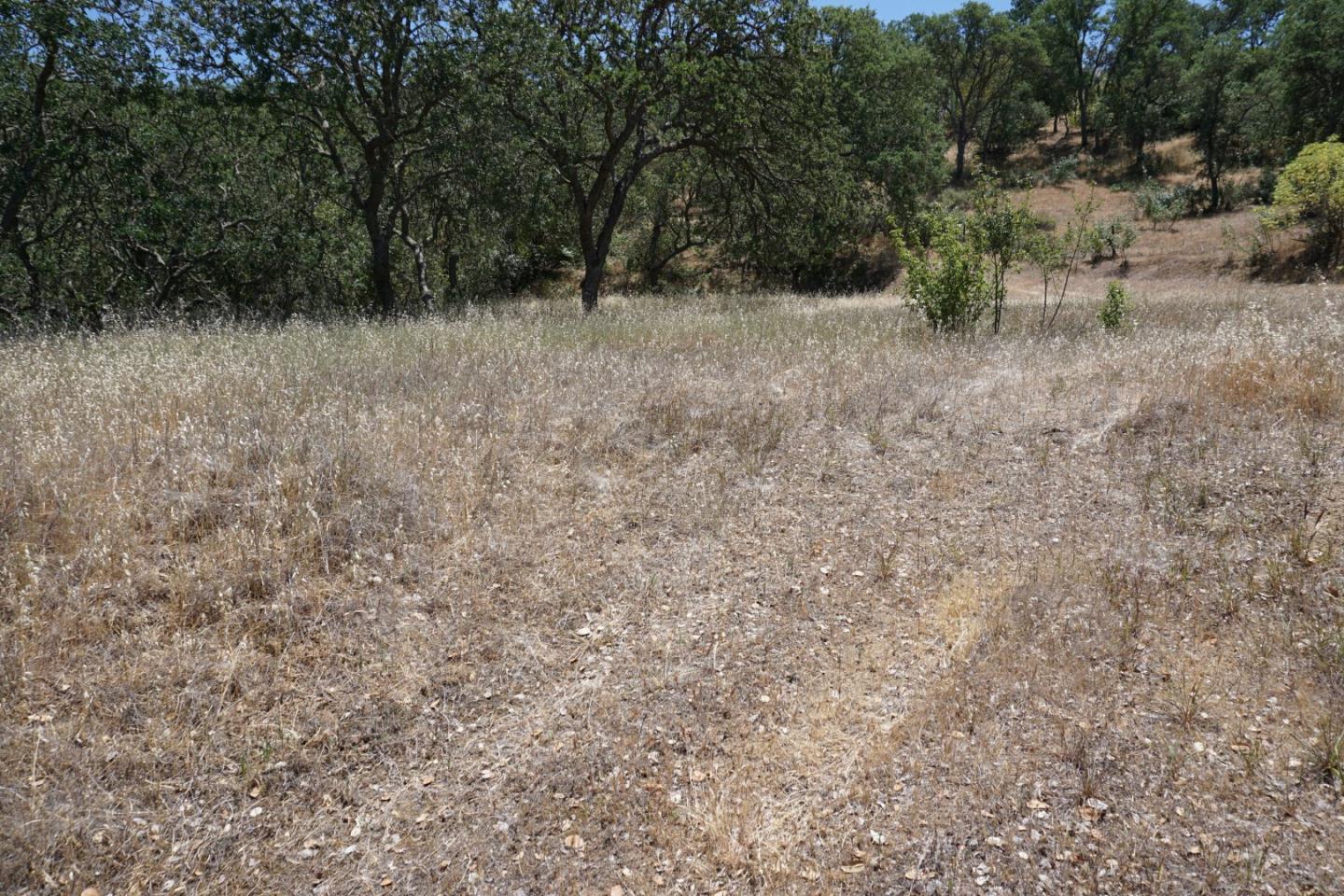 0 Cienega Road, HOLLISTER, California 95023, ,Lots And Land,For Sale,Cienega Road,40964638