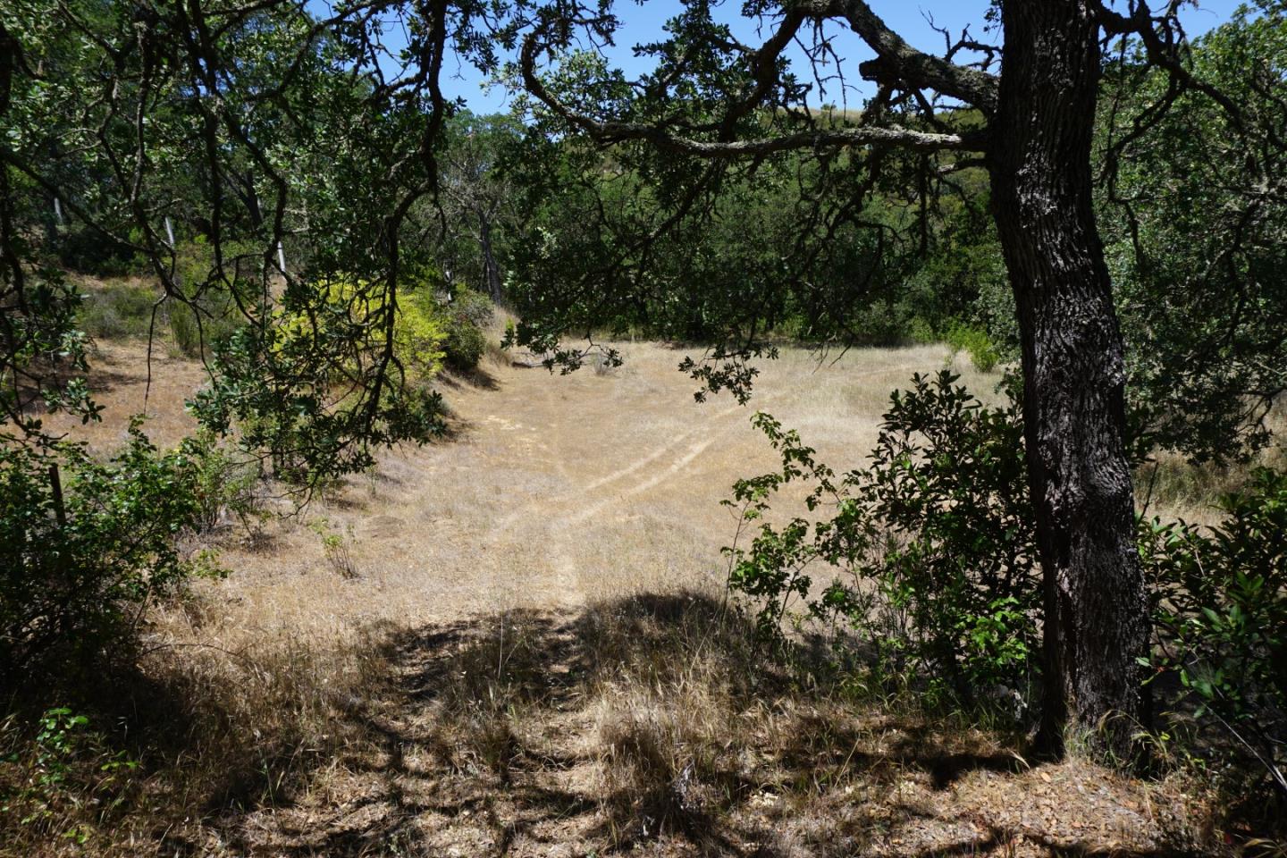 0 Cienega Road, HOLLISTER, California 95023, ,Lots And Land,For Sale,Cienega Road,40964638