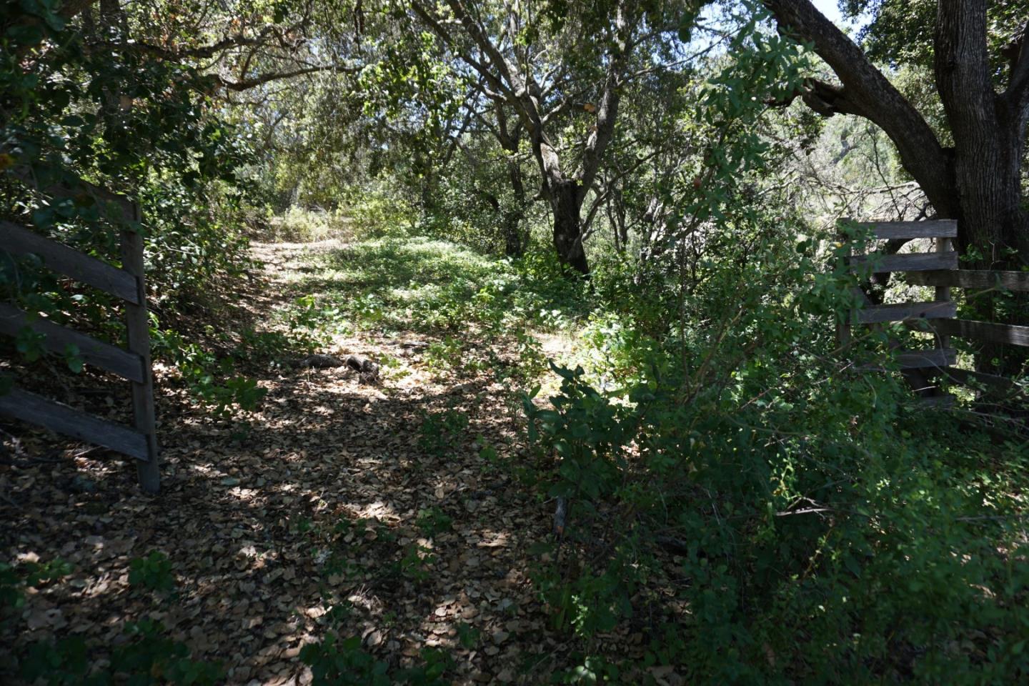 0 Cienega Road, HOLLISTER, California 95023, ,Lots And Land,For Sale,Cienega Road,40964638