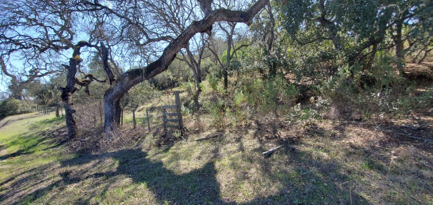 0 Cienega Road, HOLLISTER, California 95023, ,Lots And Land,For Sale,Cienega Road,40964638