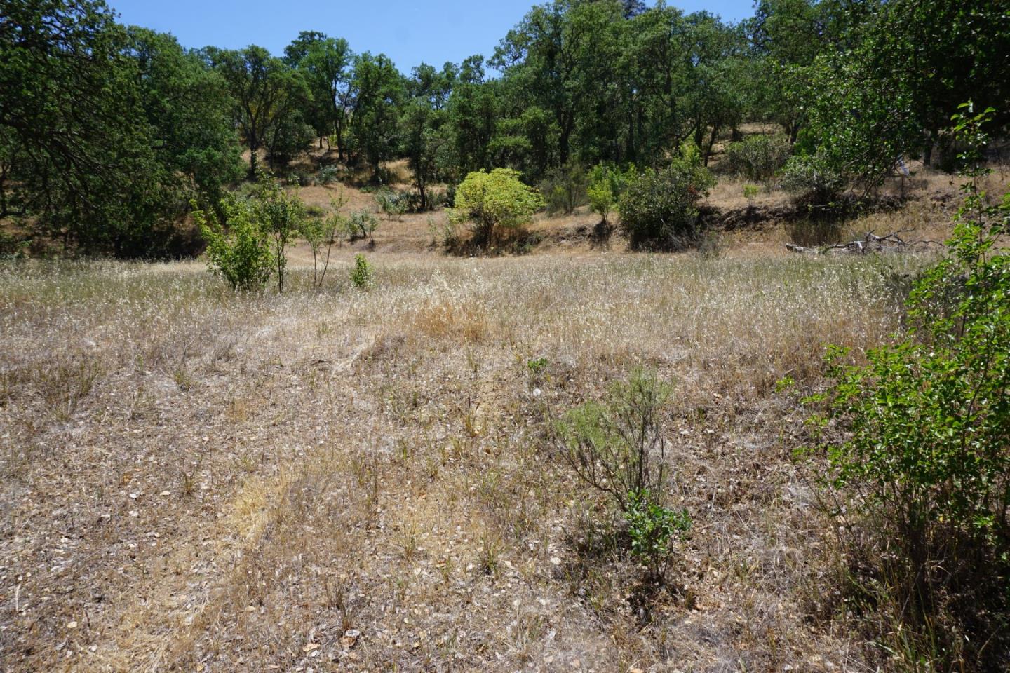 0 Cienega Road, HOLLISTER, California 95023, ,Lots And Land,For Sale,Cienega Road,40964638