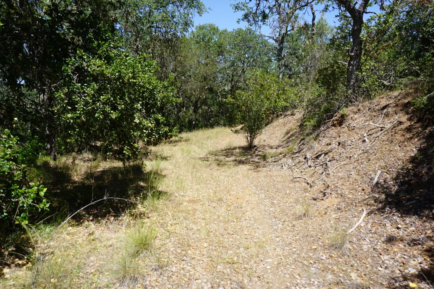 0 Cienega Road, HOLLISTER, California 95023, ,Lots And Land,For Sale,Cienega Road,40964638
