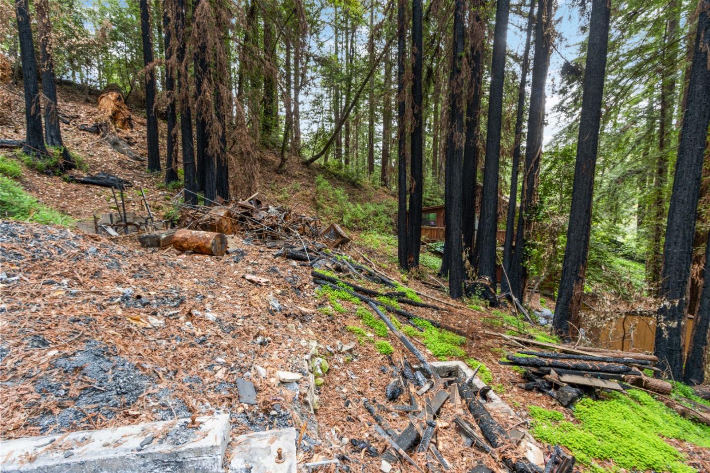 10535 West Drive, FELTON, California 95018, ,Lots And Land,For Sale,West Drive,40964643