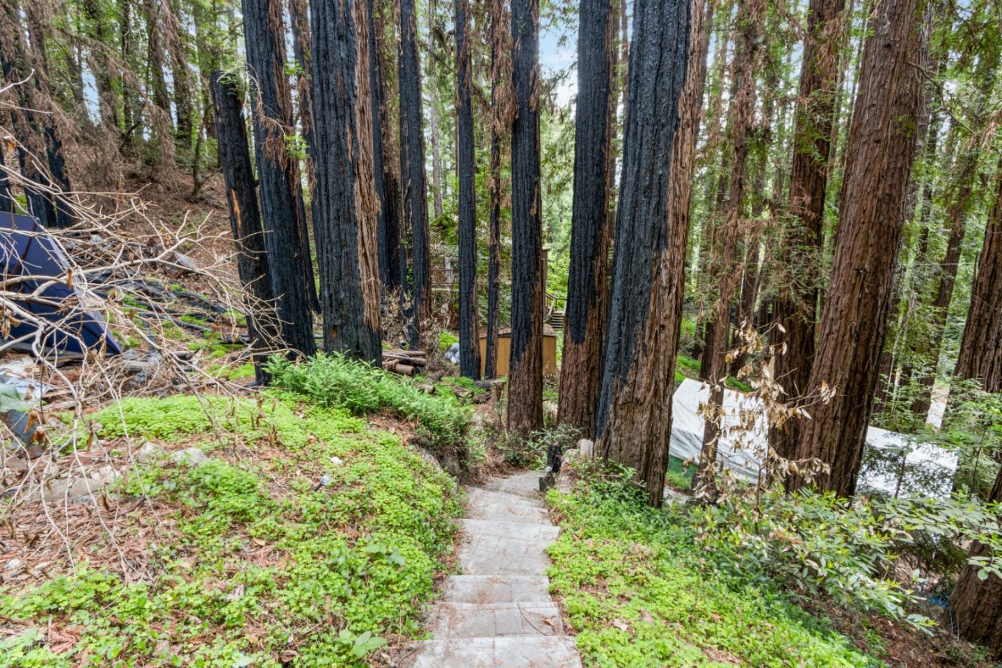 10535 West Drive, FELTON, California 95018, ,Lots And Land,For Sale,West Drive,40964643
