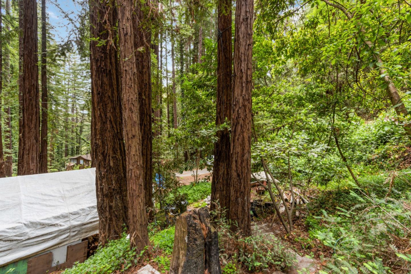 10535 West Drive, FELTON, California 95018, ,Lots And Land,For Sale,West Drive,40964643