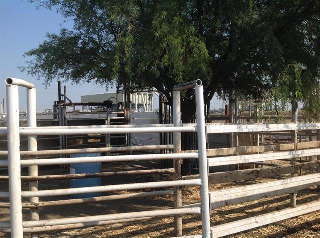 27851 Lammers Road, TRACY, California 95377, ,Lots And Land,For Sale,Lammers Road,40964689