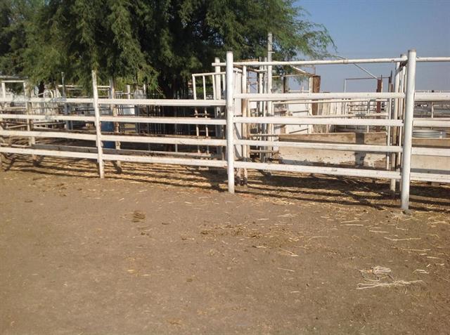 27851 Lammers Road, TRACY, California 95377, ,Lots And Land,For Sale,Lammers Road,40964689