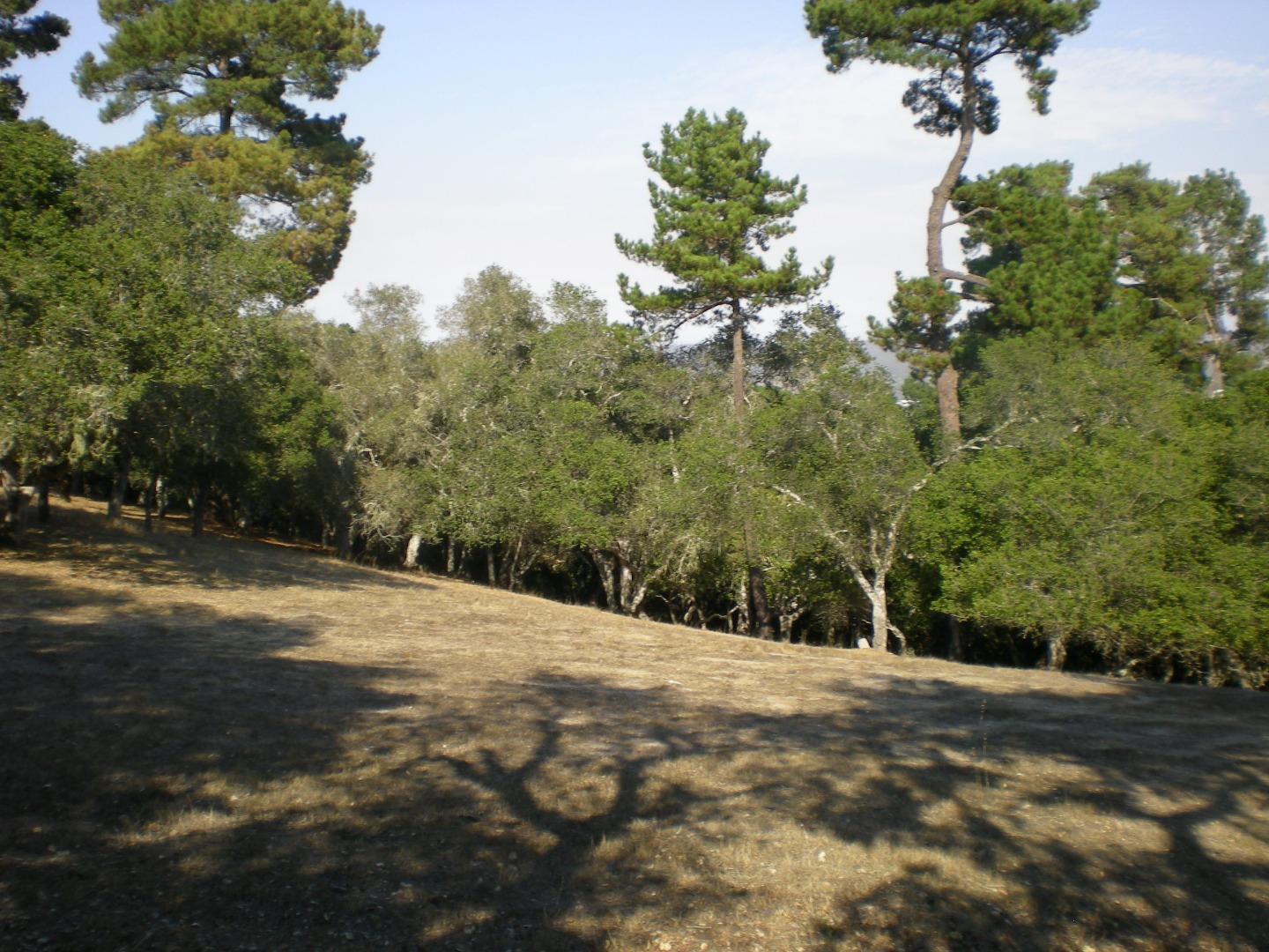 7415 Alturas Court (Lot 26), MONTEREY, California 93940, ,Lots And Land,For Sale,Alturas Court (Lot 26),40975673