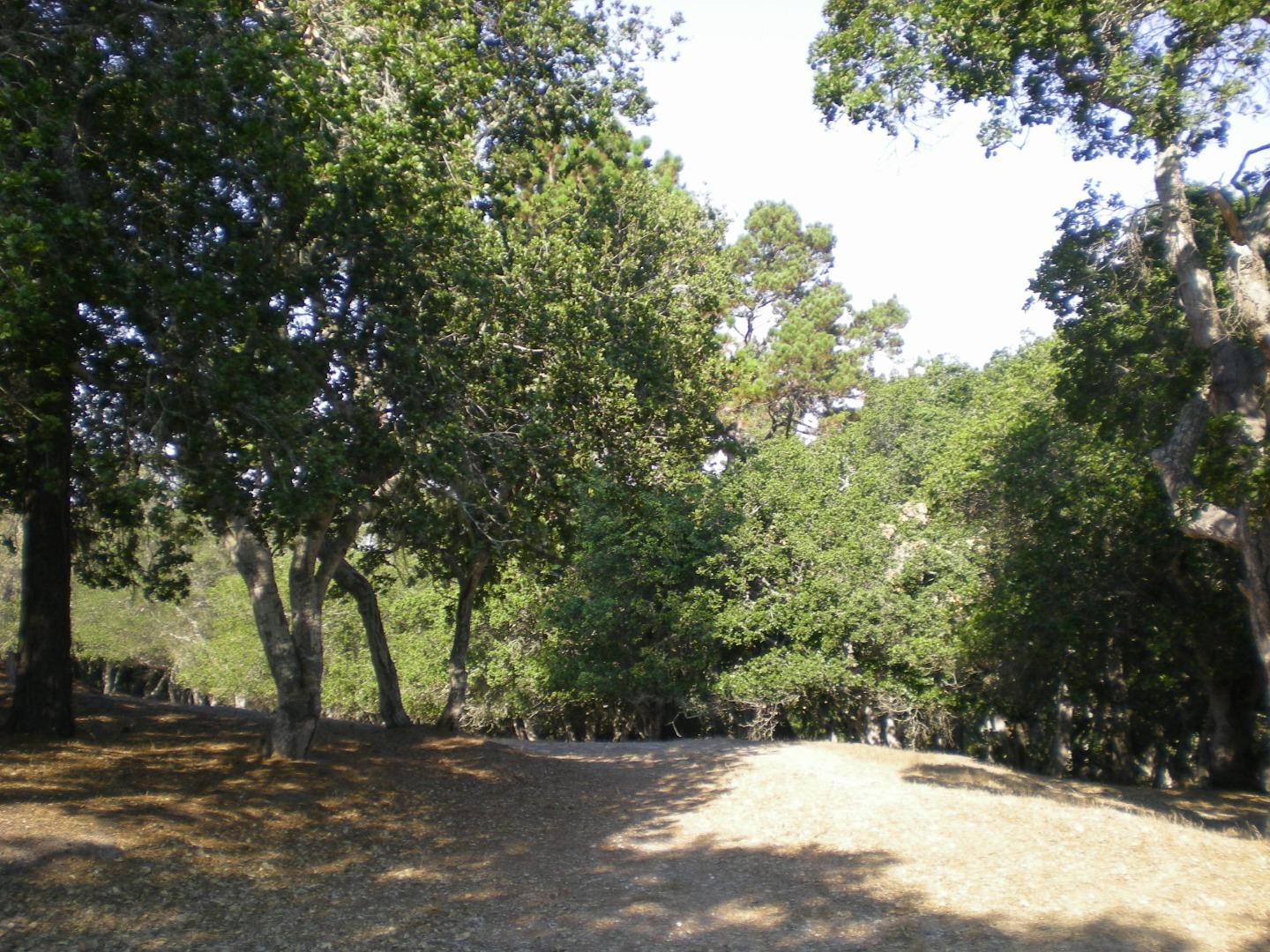 7415 Alturas Court (Lot 26), MONTEREY, California 93940, ,Lots And Land,For Sale,Alturas Court (Lot 26),40975673