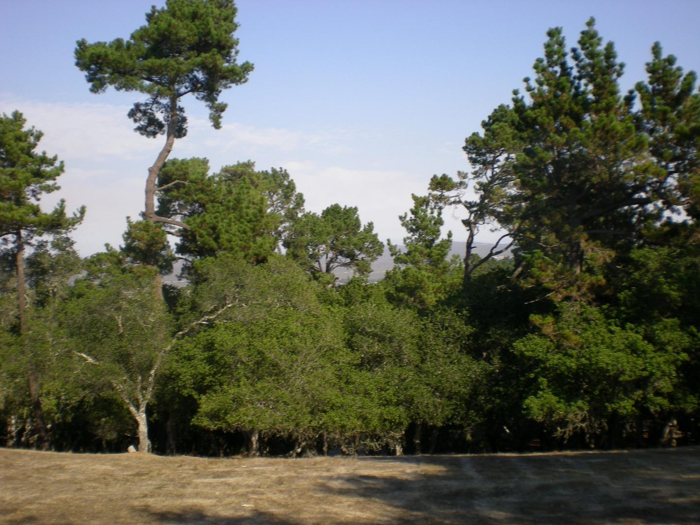 7415 Alturas Court (Lot 26), MONTEREY, California 93940, ,Lots And Land,For Sale,Alturas Court (Lot 26),40975673