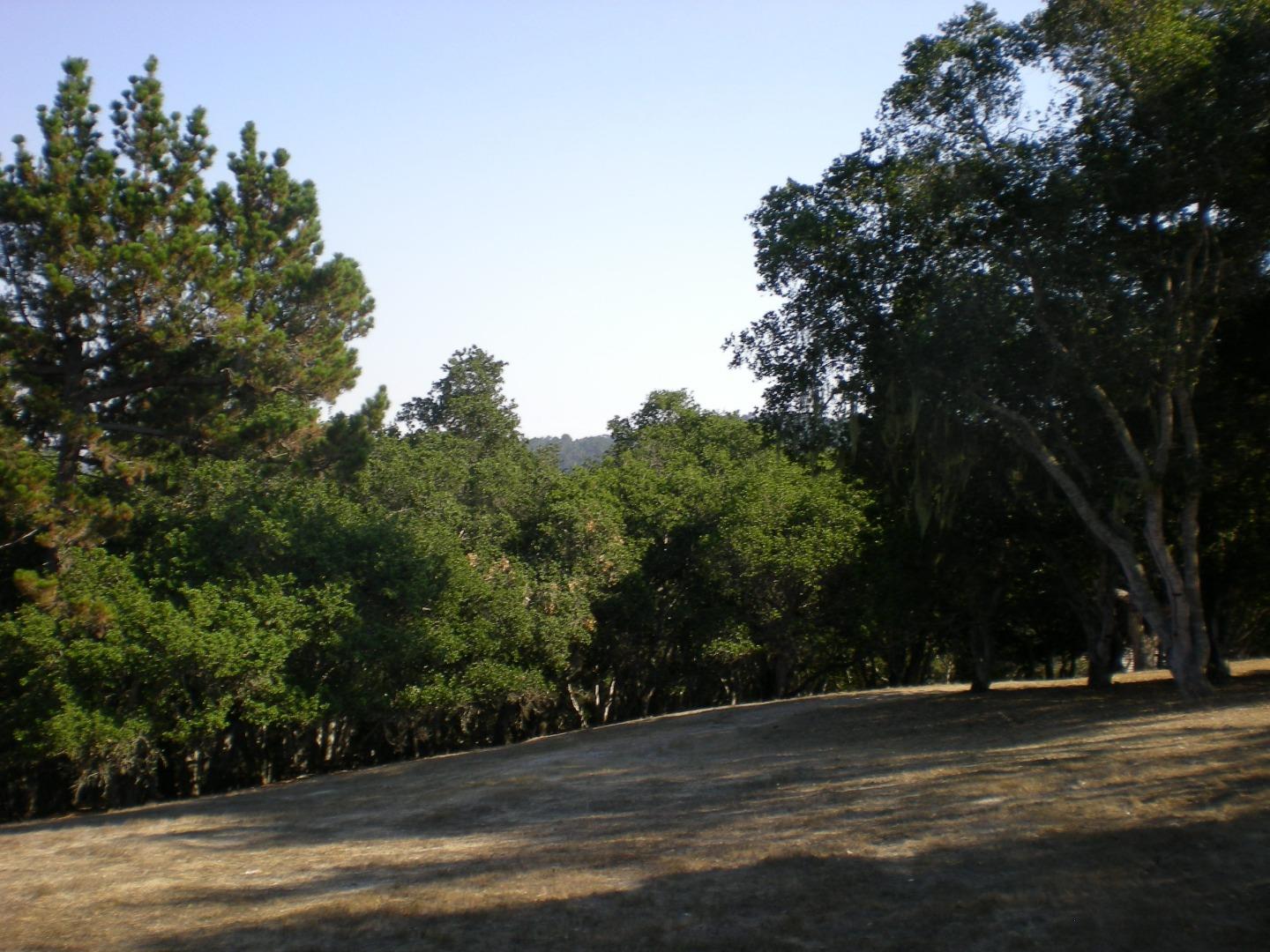 7415 Alturas Court (Lot 26), MONTEREY, California 93940, ,Lots And Land,For Sale,Alturas Court (Lot 26),40975673