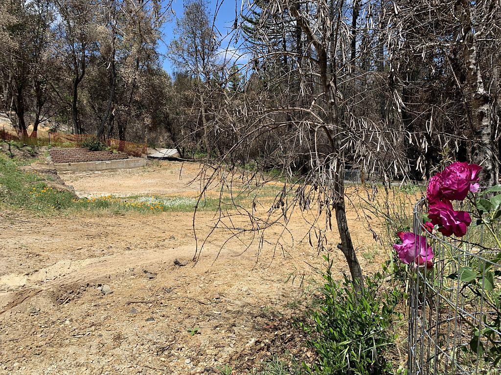 150 Fallen Leaf Drive, BOULDER CREEK, California 95006, ,Lots And Land,For Sale,Fallen Leaf Drive,40964715