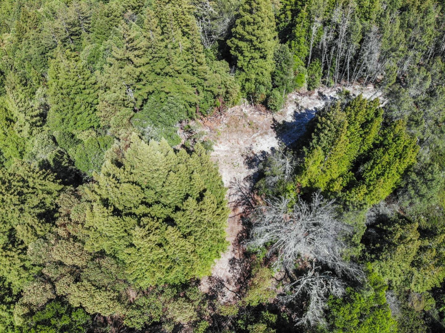 Lot 13 Love Creek Road, BEN LOMOND, California 95005, ,Lots And Land,For Sale,Love Creek Road,40969351