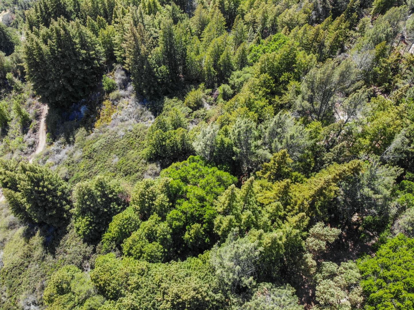 Lot 13 Love Creek Road, BEN LOMOND, California 95005, ,Lots And Land,For Sale,Love Creek Road,40969351