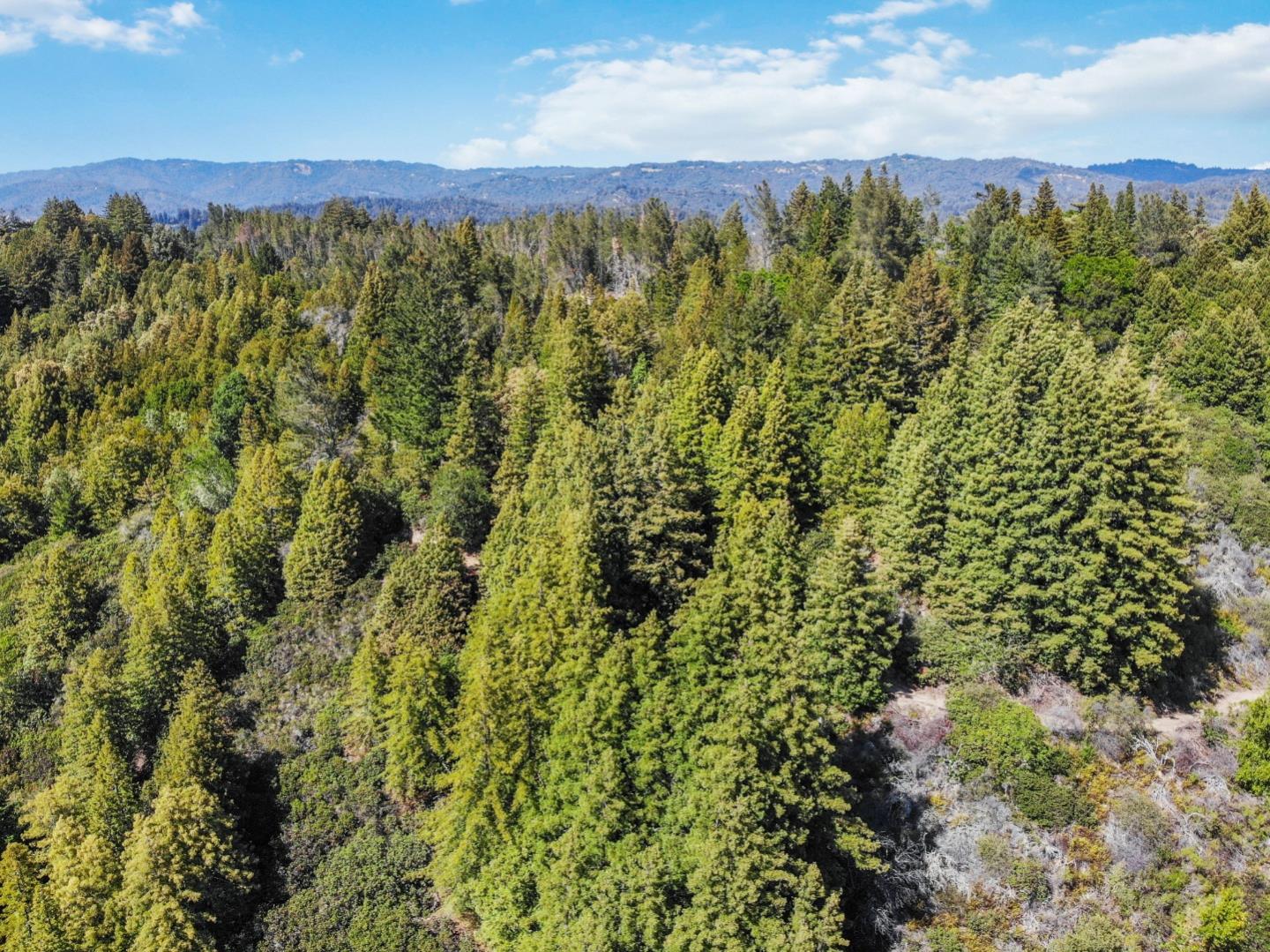 Lot 13 Love Creek Road, BEN LOMOND, California 95005, ,Lots And Land,For Sale,Love Creek Road,40969351