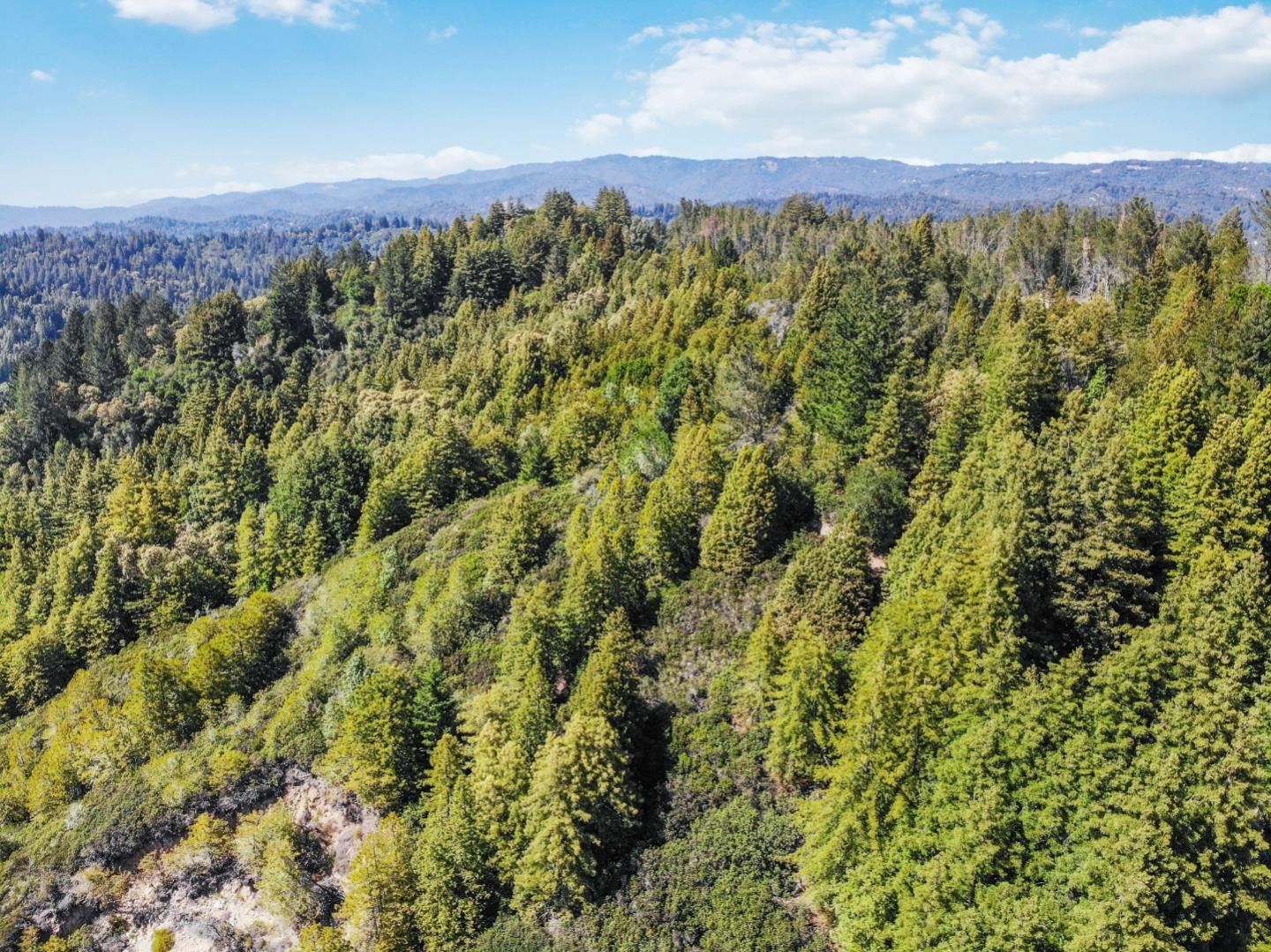 Lot 13 Love Creek Road, BEN LOMOND, California 95005, ,Lots And Land,For Sale,Love Creek Road,40969351