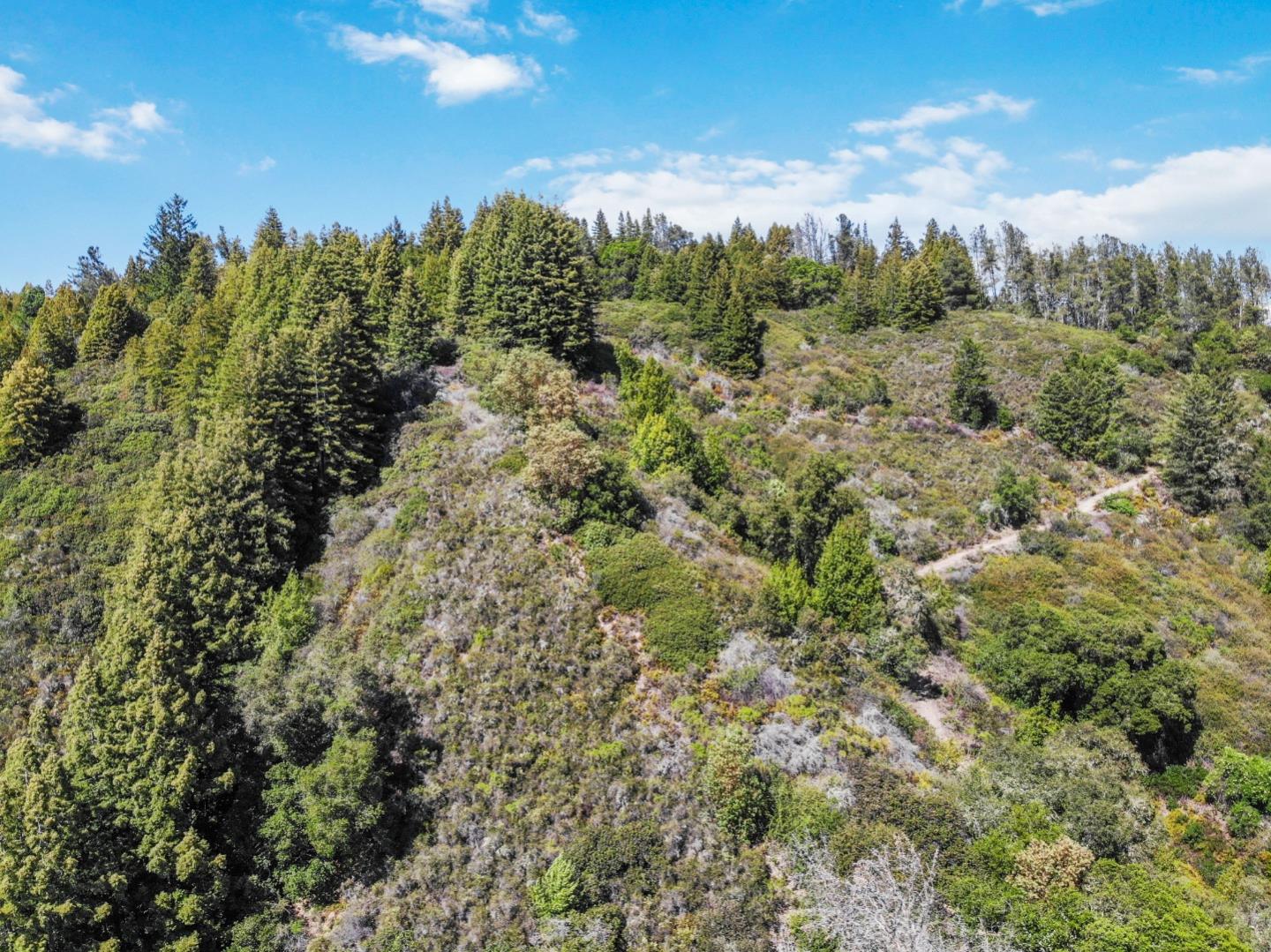 Lot 13 Love Creek Road, BEN LOMOND, California 95005, ,Lots And Land,For Sale,Love Creek Road,40969351