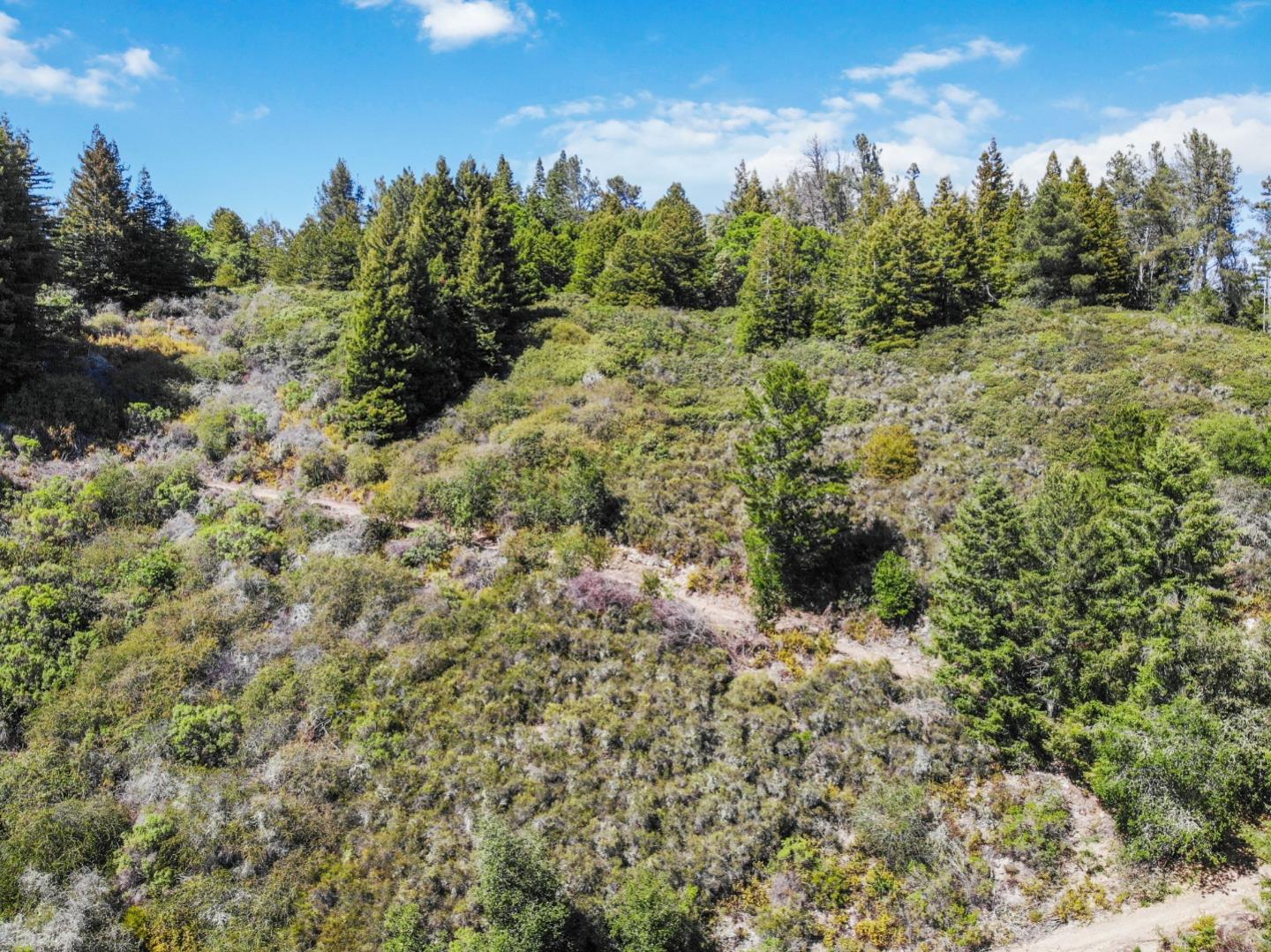 Lot 13 Love Creek Road, BEN LOMOND, California 95005, ,Lots And Land,For Sale,Love Creek Road,40969351