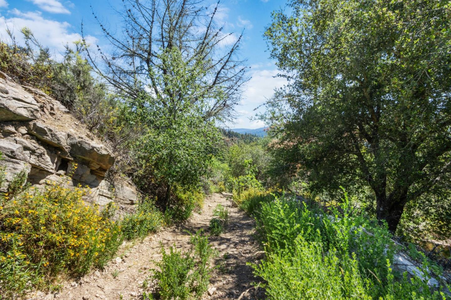 Lot 13 Love Creek Road, BEN LOMOND, California 95005, ,Lots And Land,For Sale,Love Creek Road,40969351