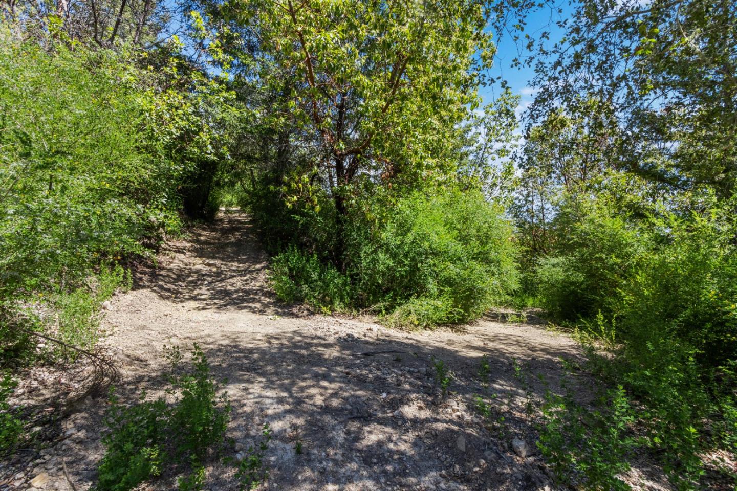 Lot 13 Love Creek Road, BEN LOMOND, California 95005, ,Lots And Land,For Sale,Love Creek Road,40969351