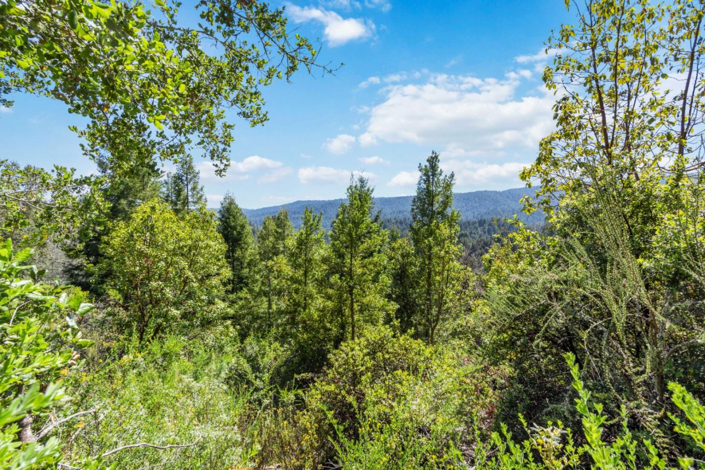 Lot 13 Love Creek Road, BEN LOMOND, California 95005, ,Lots And Land,For Sale,Love Creek Road,40969351