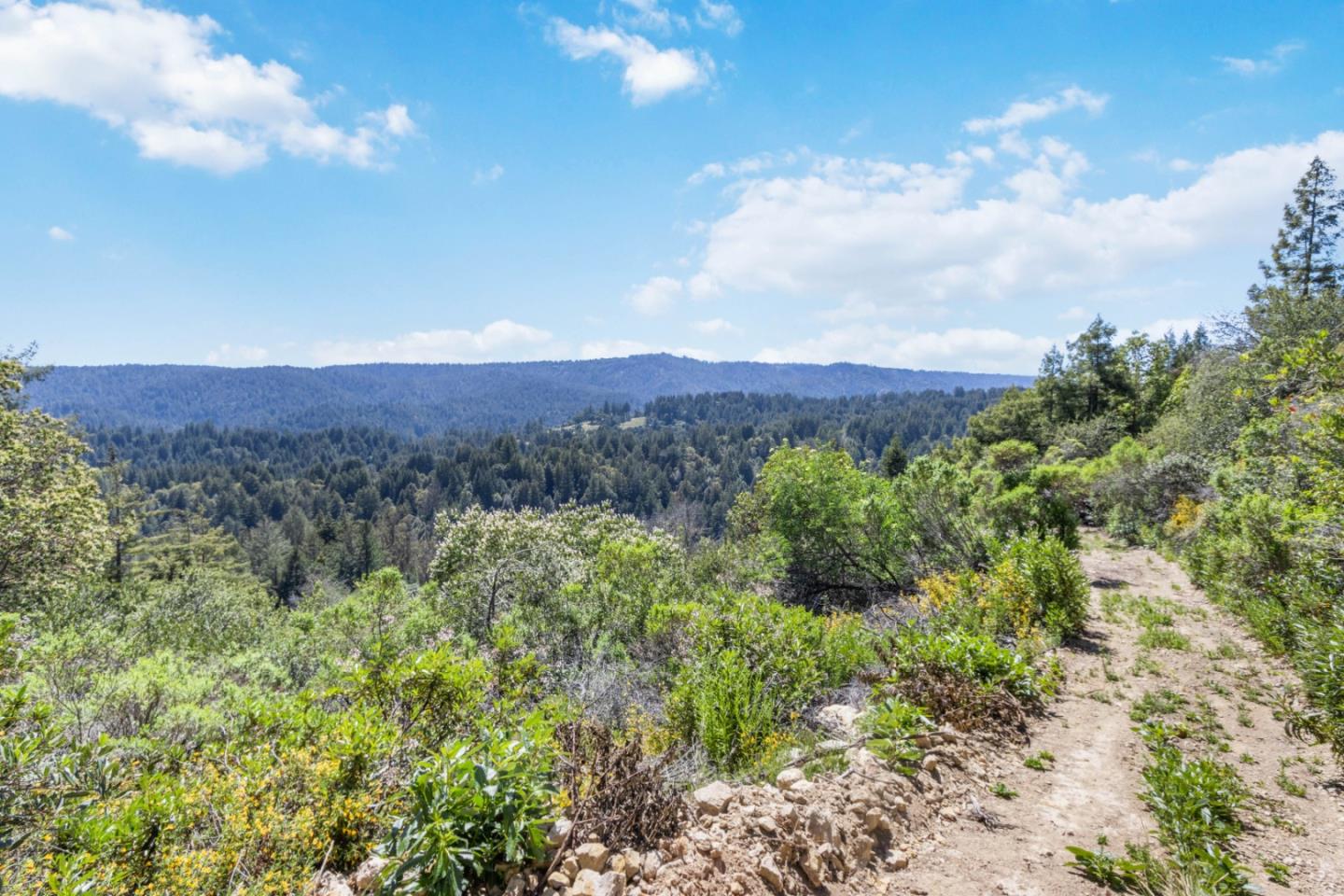 Lot 13 Love Creek Road, BEN LOMOND, California 95005, ,Lots And Land,For Sale,Love Creek Road,40969351