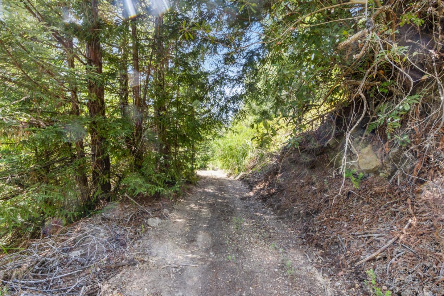 Lot 13 Love Creek Road, BEN LOMOND, California 95005, ,Lots And Land,For Sale,Love Creek Road,40969351