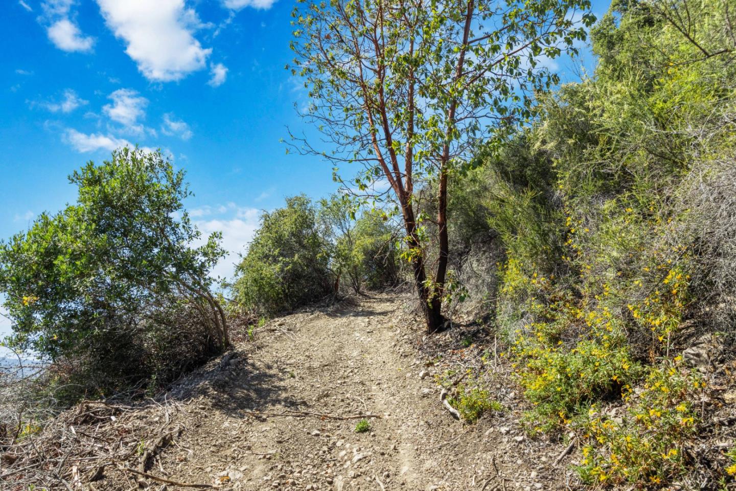 Lot 13 Love Creek Road, BEN LOMOND, California 95005, ,Lots And Land,For Sale,Love Creek Road,40969351