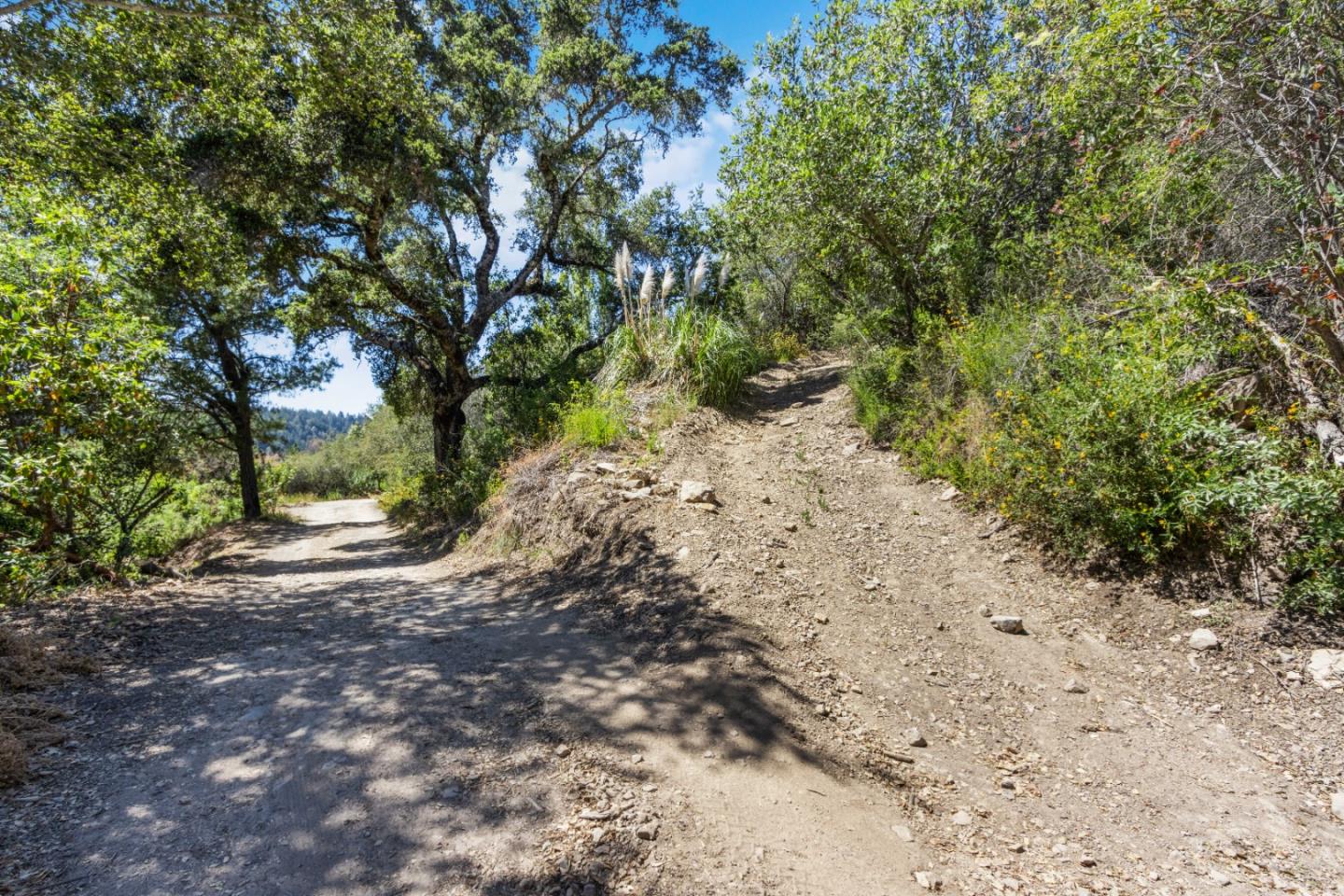 Lot 13 Love Creek Road, BEN LOMOND, California 95005, ,Lots And Land,For Sale,Love Creek Road,40969351