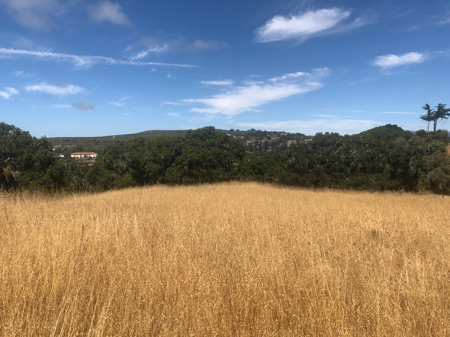 8330 Vista Monterra, MONTEREY, California 93940, ,Lots And Land,For Sale,Vista Monterra,40964731