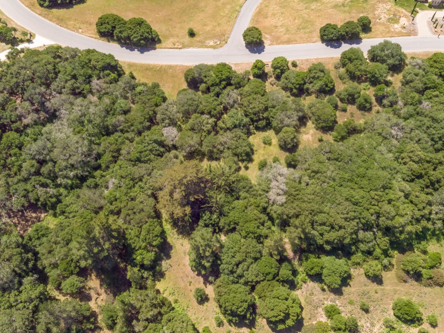 8933 Hidden Canyon Road, SALINAS, California 93907, ,Lots And Land,For Sale,Hidden Canyon Road,40964751