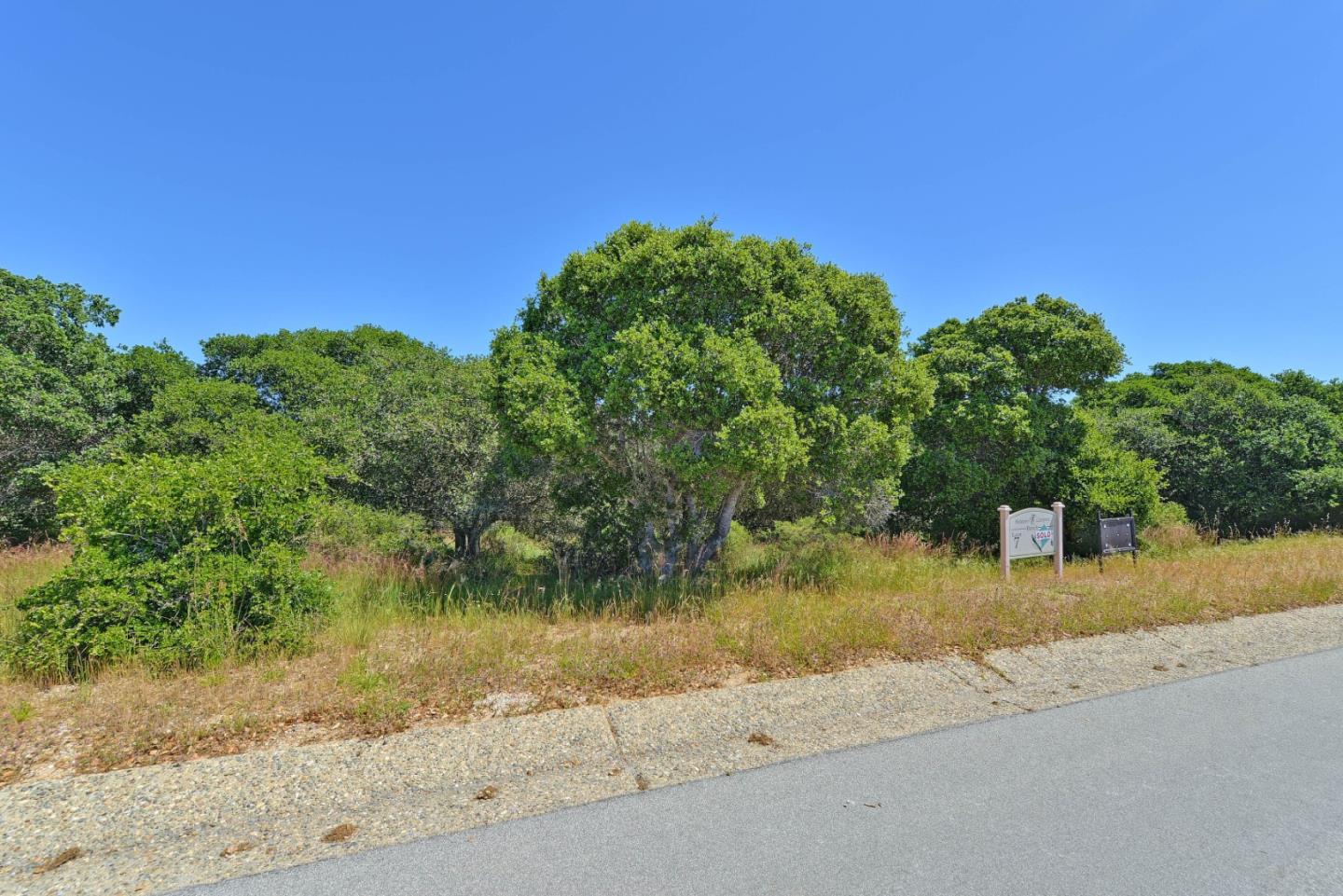 8933 Hidden Canyon Road, SALINAS, California 93907, ,Lots And Land,For Sale,Hidden Canyon Road,40964751