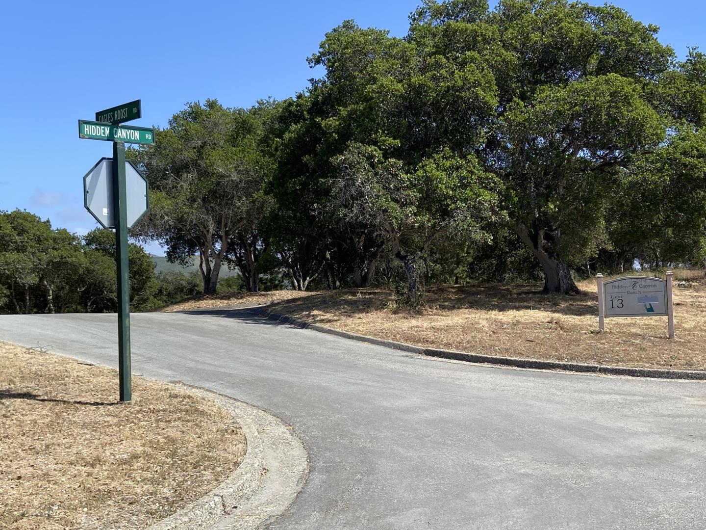 8945 Hidden Canyon Road, SALINAS, California 93907, ,Lots And Land,For Sale,Hidden Canyon Road,40964752