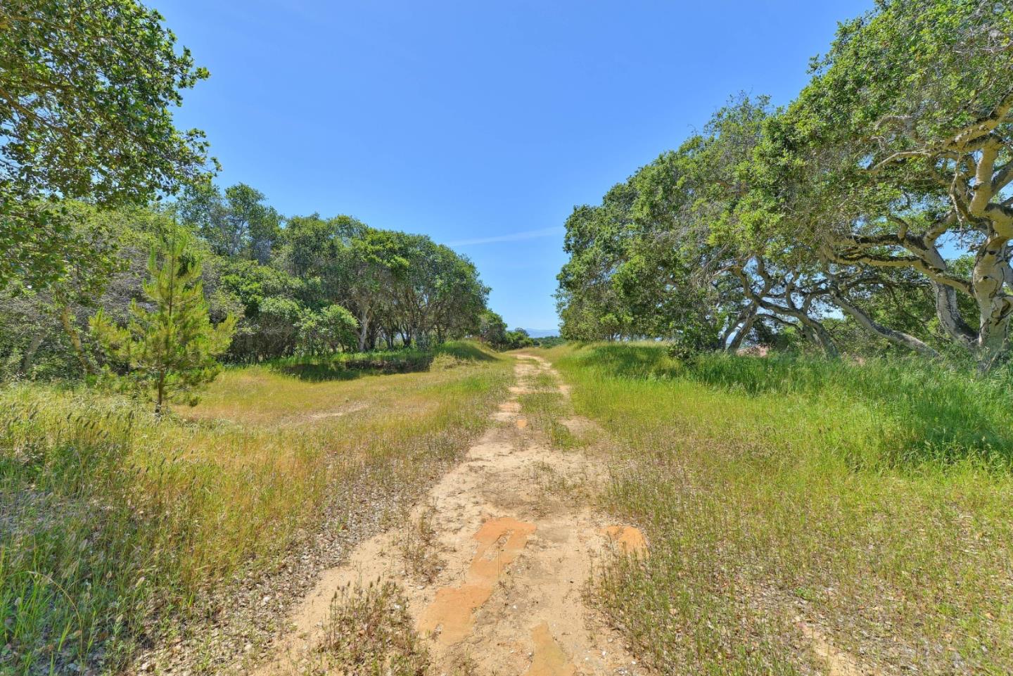 8945 Hidden Canyon Road, SALINAS, California 93907, ,Lots And Land,For Sale,Hidden Canyon Road,40964752