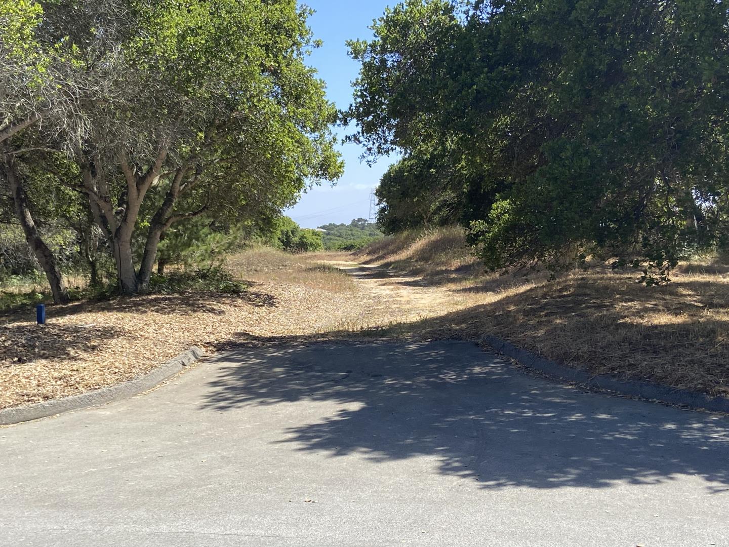 8945 Hidden Canyon Road, SALINAS, California 93907, ,Lots And Land,For Sale,Hidden Canyon Road,40964752