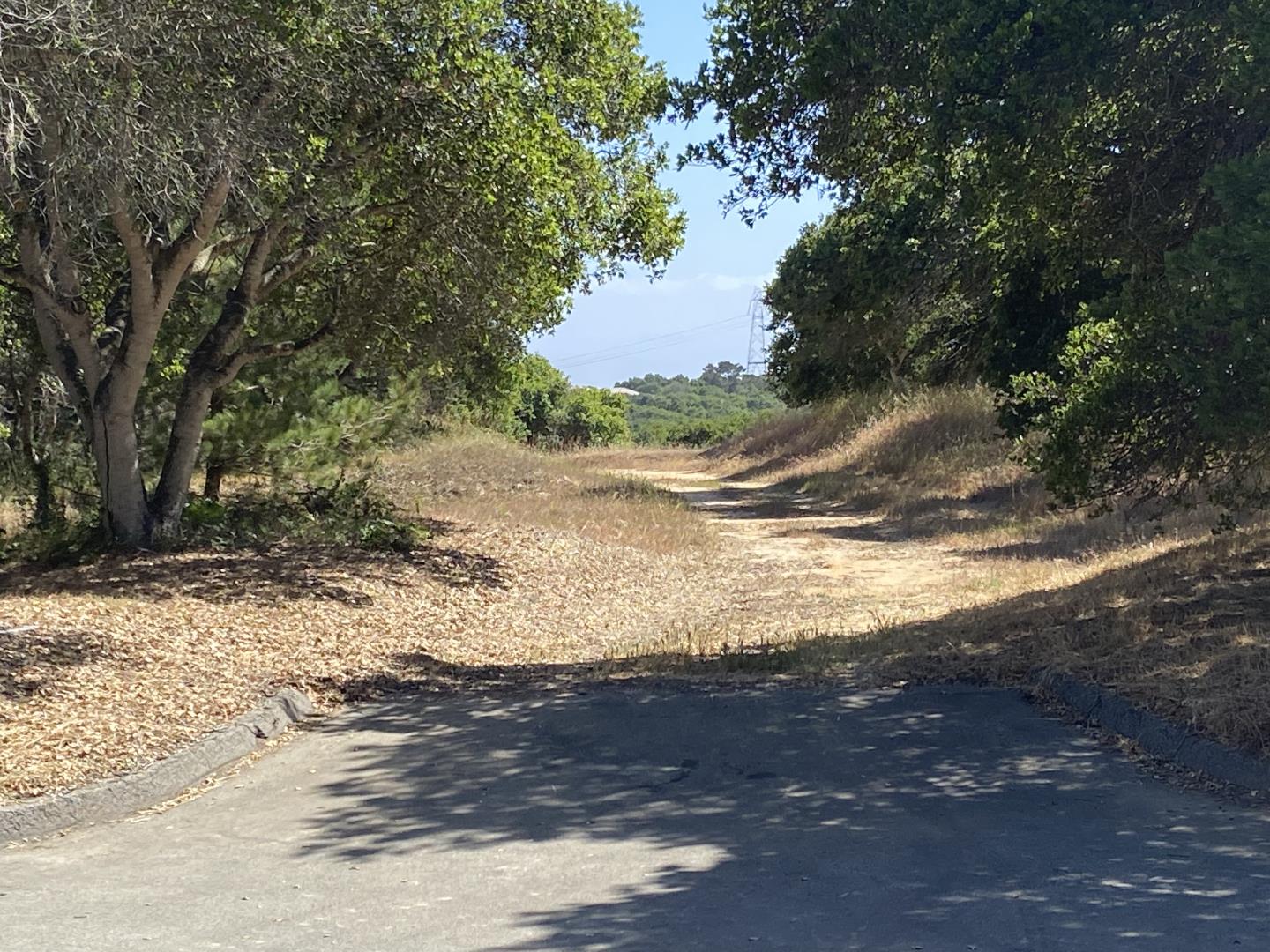 8945 Hidden Canyon Road, SALINAS, California 93907, ,Lots And Land,For Sale,Hidden Canyon Road,40964752