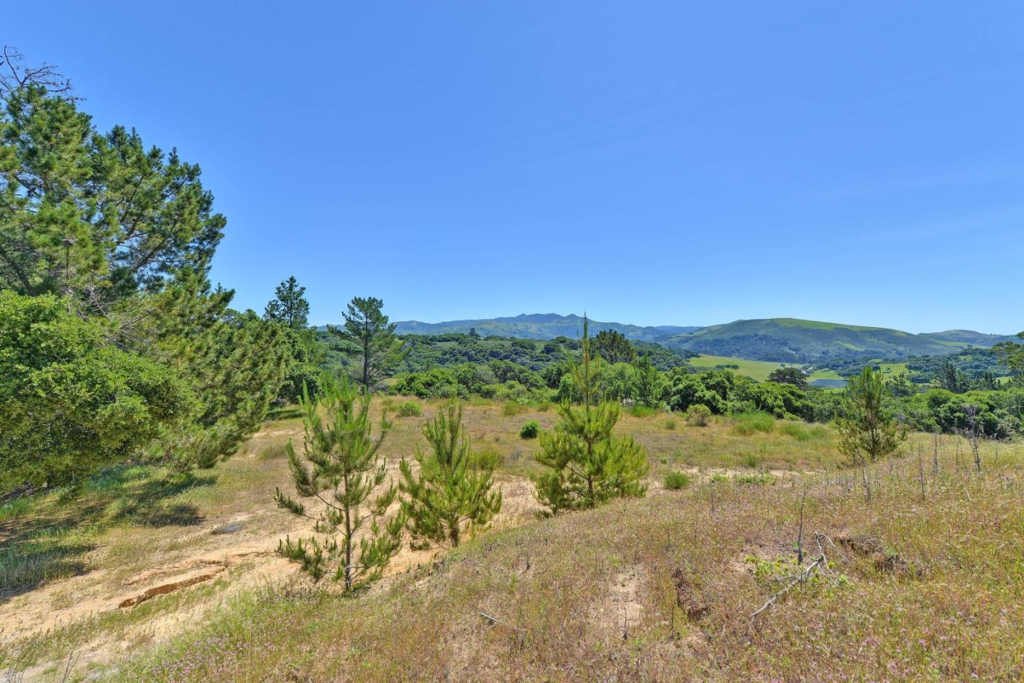 8741 Eagles Roost Road, SALINAS, California 93907, ,Lots And Land,For Sale,Eagles Roost Road,40964753