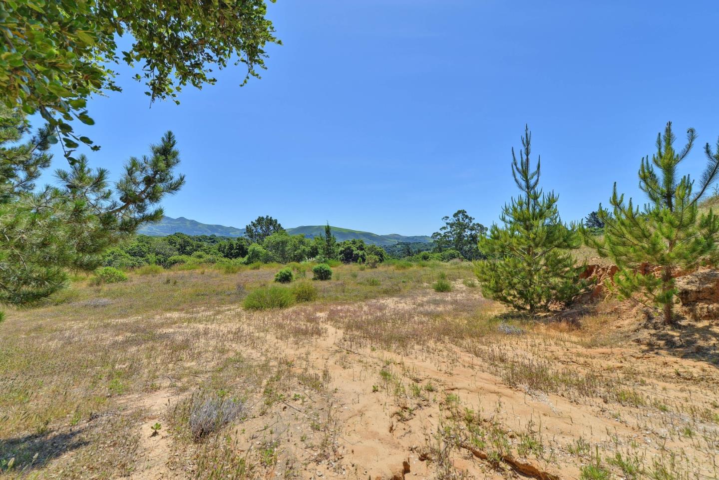 8741 Eagles Roost Road, SALINAS, California 93907, ,Lots And Land,For Sale,Eagles Roost Road,40964753