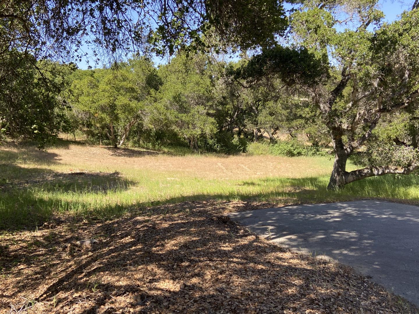 8730 Eagles Roost Road, SALINAS, California 93907, ,Lots And Land,For Sale,Eagles Roost Road,40964754