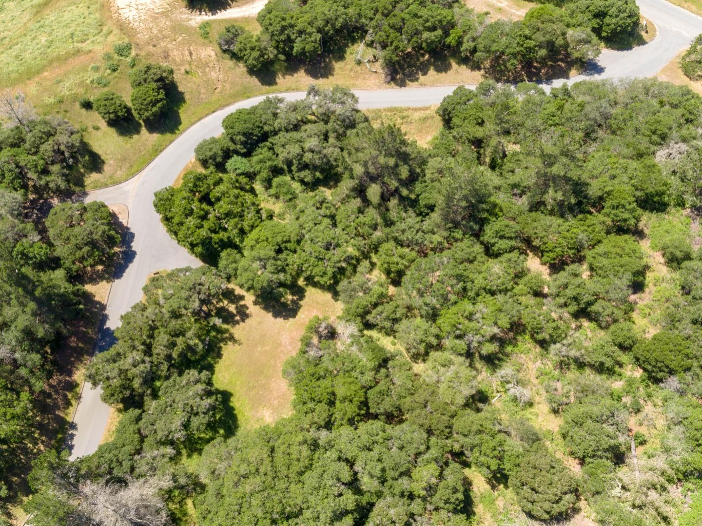 8730 Eagles Roost Road, SALINAS, California 93907, ,Lots And Land,For Sale,Eagles Roost Road,40964754