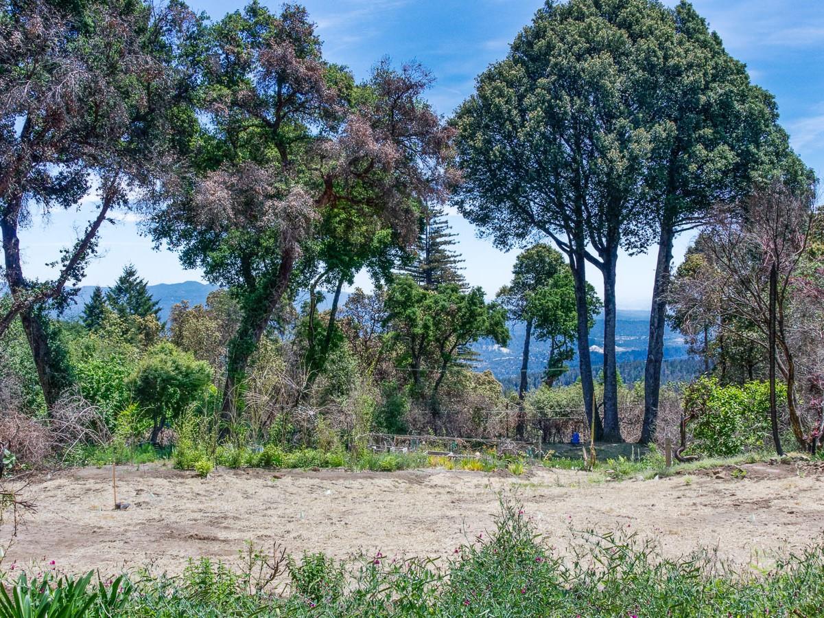 531 Summit Drive, SANTA CRUZ, California 95060, ,Lots And Land,For Sale,Summit Drive,40964755