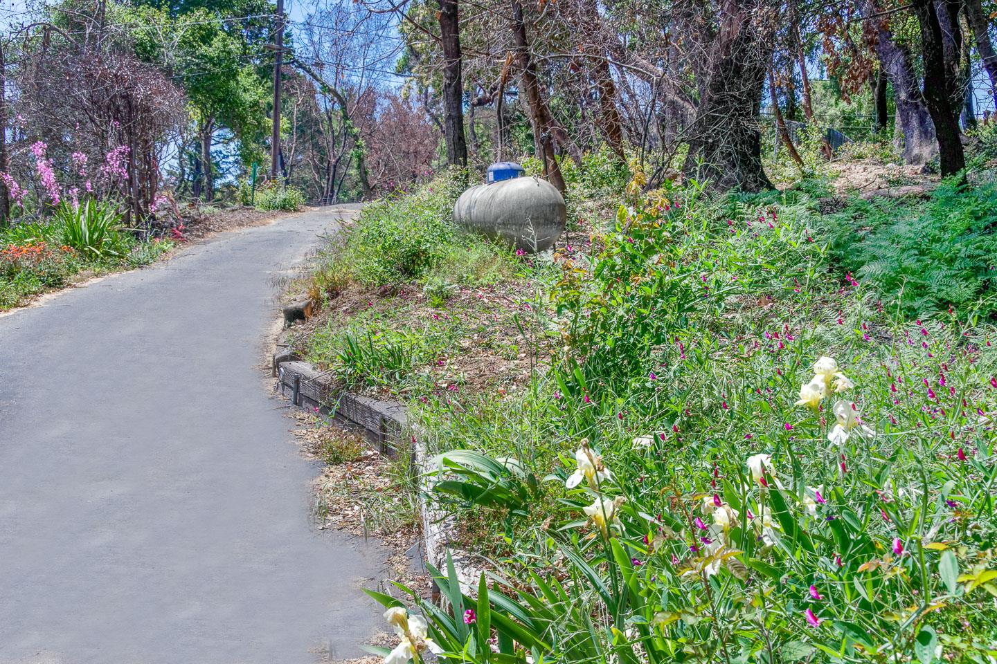531 Summit Drive, SANTA CRUZ, California 95060, ,Lots And Land,For Sale,Summit Drive,40964755