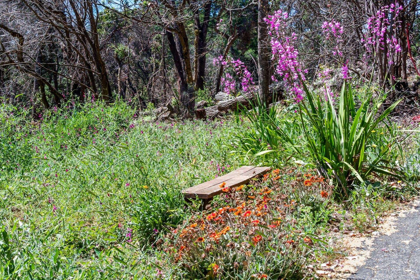 531 Summit Drive, SANTA CRUZ, California 95060, ,Lots And Land,For Sale,Summit Drive,40964755