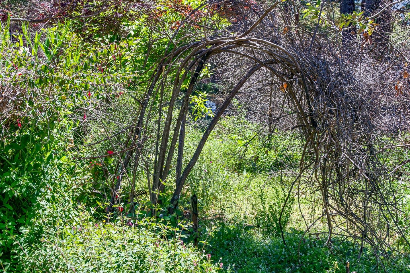 531 Summit Drive, SANTA CRUZ, California 95060, ,Lots And Land,For Sale,Summit Drive,40964755